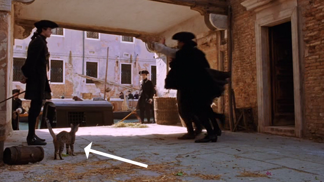 Casanova - tabby kitten watching man being arrested