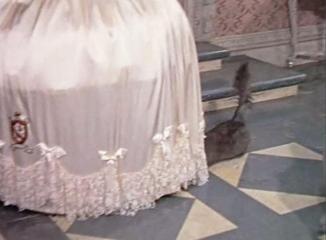 Casanova's Big Night - longhair grey cat running under mannequin