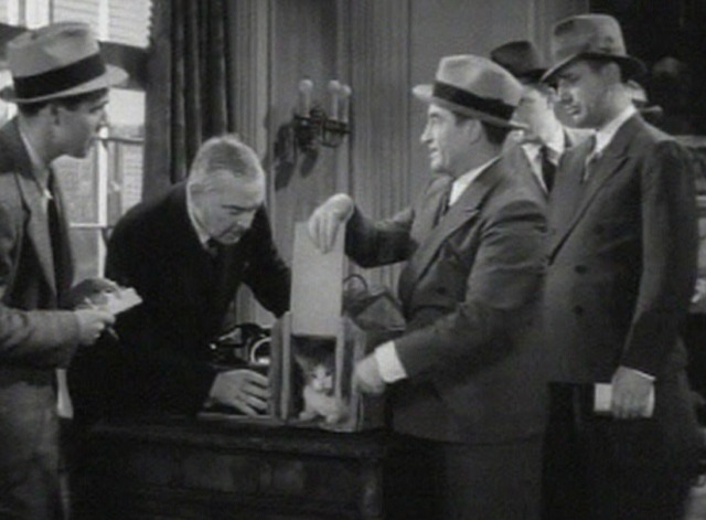 The Case of the Black Cat - Clinker cat presented to the district attorney