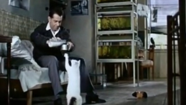 The Cassandra Cat - Robert with white cat Chicha