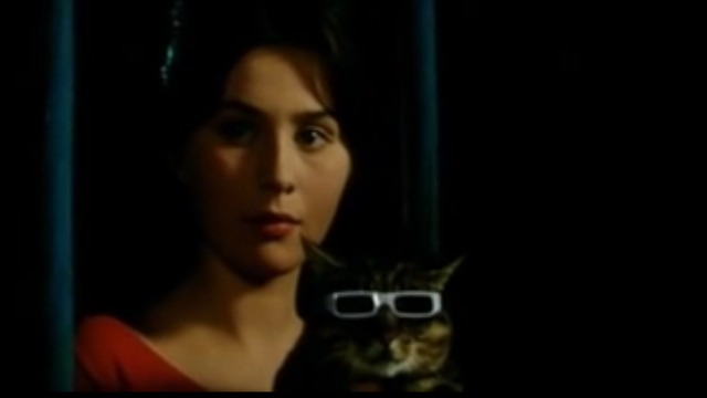 The Cassandra Cat - Diana with Mokol tabby cat wearing glasses