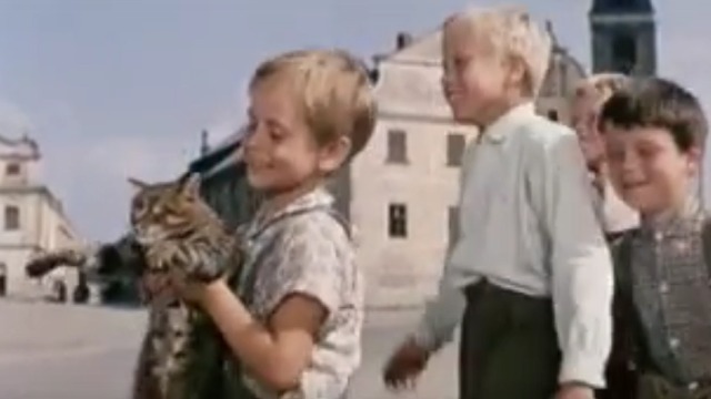 The Cassandra Cat - Mokol tabby cat paraded into town by children