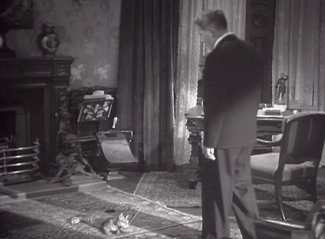 Cass Timberlane - Cass Timberlane Spencer Tracy looking at tabby cat Cleo on floor