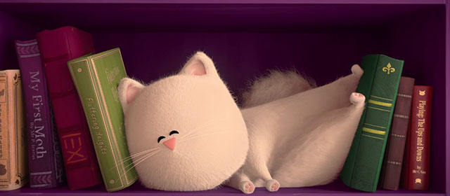 Cat and Moth - fluffy white cat Ditto sleeping on bookshelf
