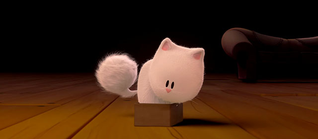Cat and Moth - fluffy white cat Ditto in tiny cardboard box