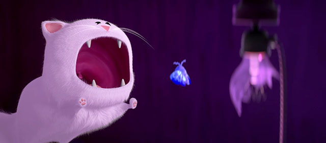 Cat and Moth - fluffy white cat Ditto leaping with mouth open at moth