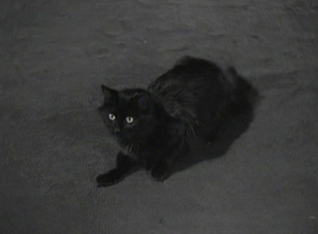 The Cat and the Canary 1939 - black cat Scarlett O'Hara on floor
