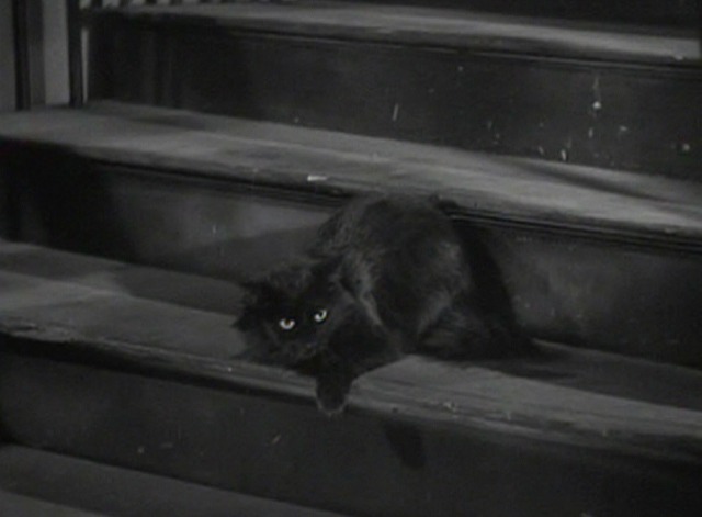 The Cat and the Canary 1939 - black cat Scarlett O'Hara on stairs