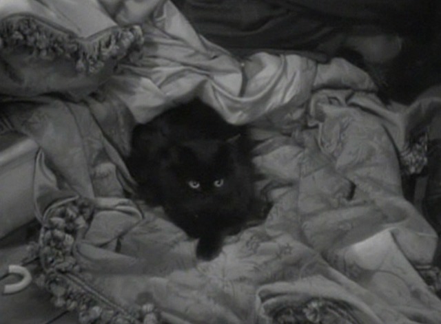 The Cat and the Canary 1939 - black cat Scarlett O'Hara under curtains