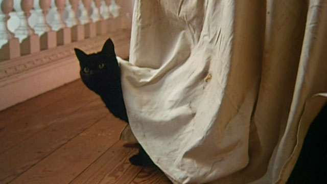 The Cat and the Canary - black cat peeking from underneath covered table