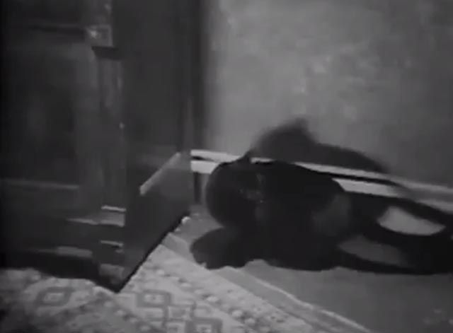 The Cat Creeps - black cat by dresser