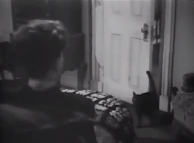 The Cat Creeps - black cat enters Connie Rose Hobart room