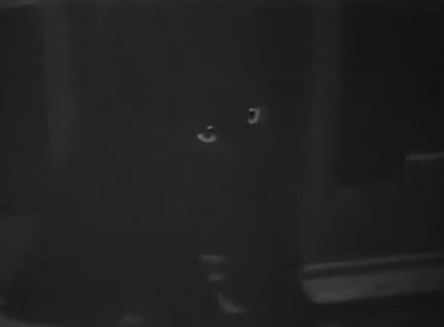 The Cat Creeps - black cat in dollhouse