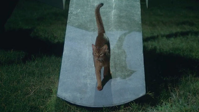 The Cat From Outer Space - alien cat Jake Abyssinian Rumple exiting spaceship