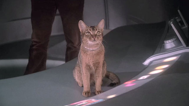 The Cat From Outer Space - alien cat Jake Abyssinian Rumple inside spaceship