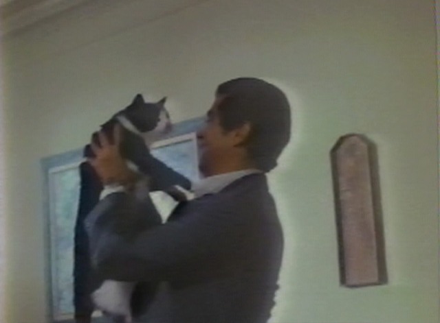 Cat in the Cage - tuxedo cat Samson greets Bruce