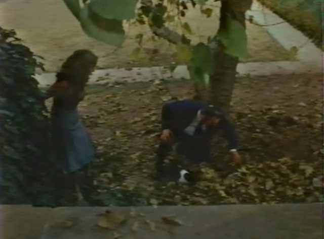 Cat in the Cage - tuxedo cat Samson digs in leaves