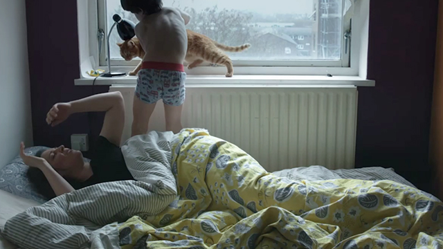 Cat in the Wall - ginger tabby Goldie Boo on windowsill with Jojo Orlin Asenov and Irina Atanasova