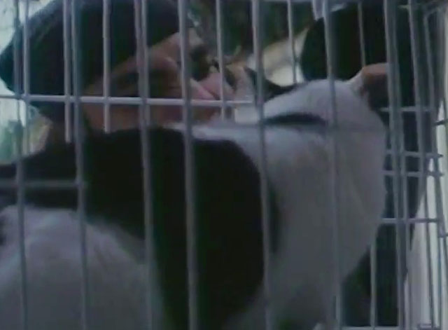 U.S. Catman Lethal Track - thug looking at tuxedo cat in cage