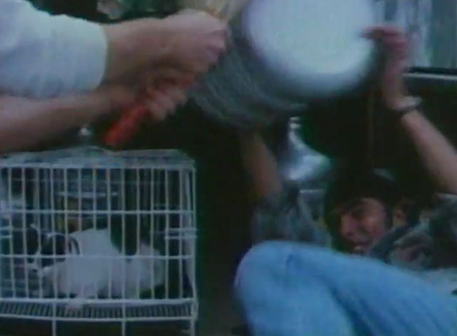 U.S. Catman Lethal Track - men fighting in front of tuxedo cat in cage