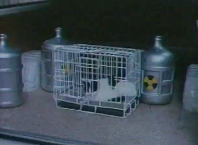 U.S. Catman Lethal Track - men fighting in front of tuxedo cat in cage