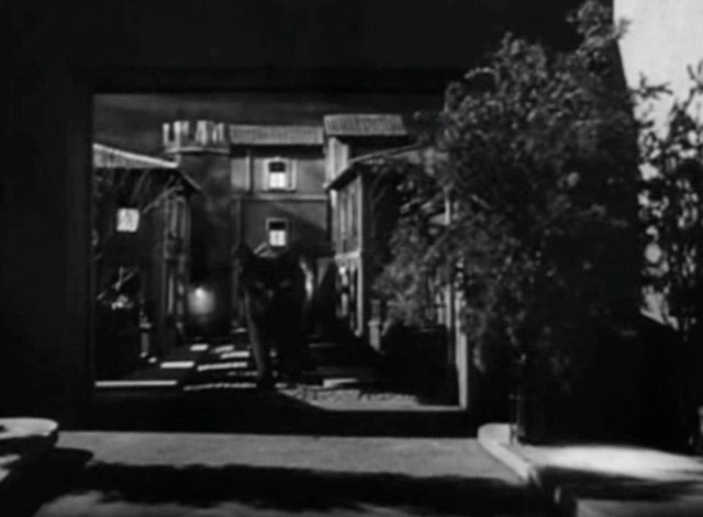 The Catman of Paris - black kitten walking through miniature Paris street