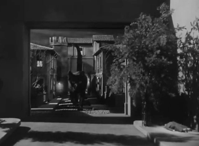 The Catman of Paris - black kitten walking through miniature Paris street