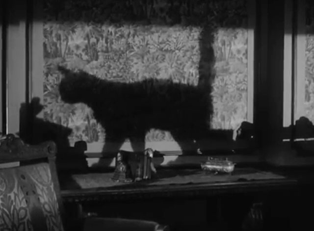 The Catman of Paris - cat shadow on wall