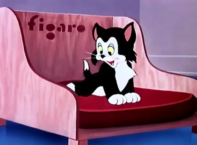 Cat Nap Pluto - Figaro wakes up