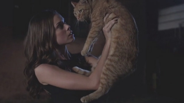 Cat Power - Silvie Shanna Collins holding up orange tabby cat Meghan Charlie