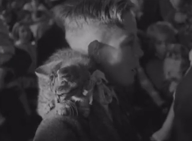 Cats, Dog, Mice and a Goldfish Go to Church - boy inside church with tabby kitten in ribbon on shoulder