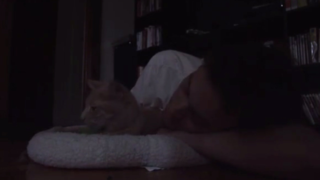 Cat - Daniel Michael Gerstein lying next to orange tabby cat Lloyd