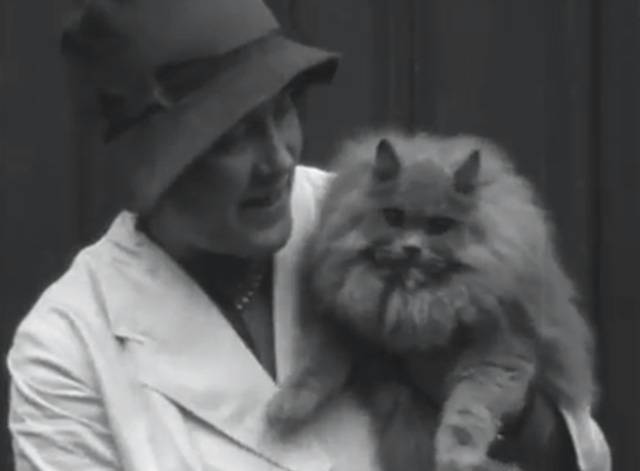 Cat Show 1930's - woman holding Blue Persian cat