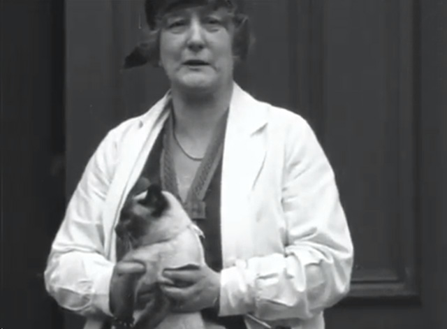 Cat Show 1930's - woman holding Siamese cat