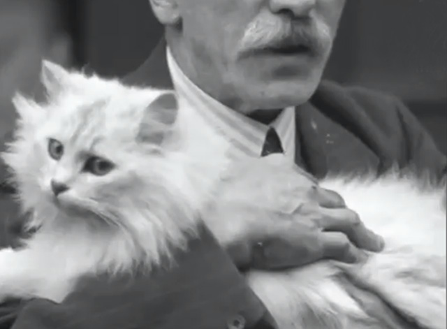 Cat Show 1930's - man holding white Angora cat
