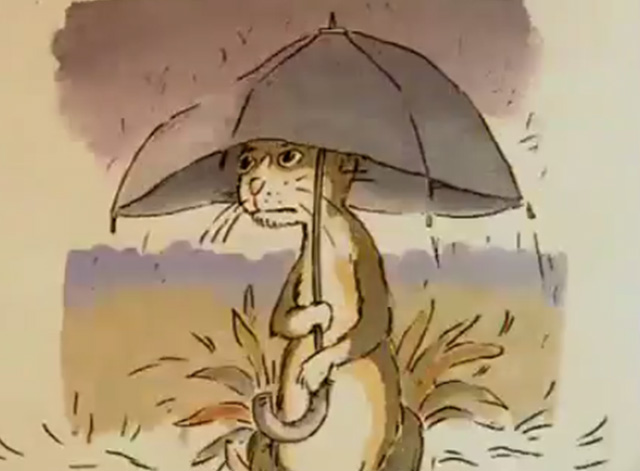 Cats in the Rain - cat under umbrella in rain