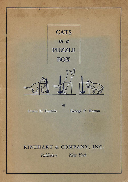 Cats in a Puzzle Box - book cover