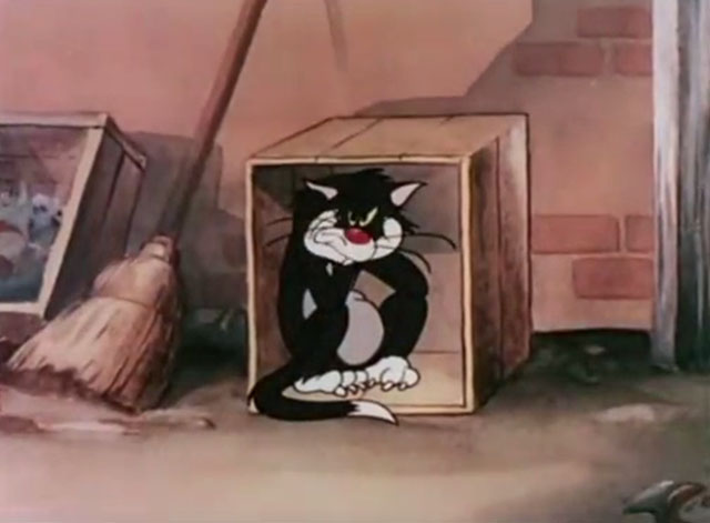 The Cat That Hated People - sulking cartoon black cat in crate in alley