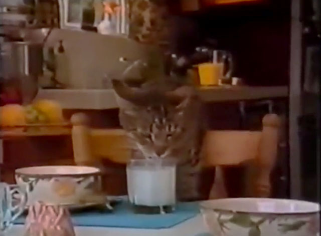 The Cat Who Drank and Used Too Much - tabby cat Pat drinking milk from glass