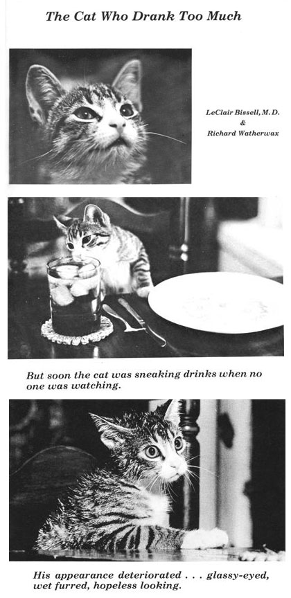 The Cat Who Drank and Used Too Much - pages from the book The Cat Who Drank Too Much
