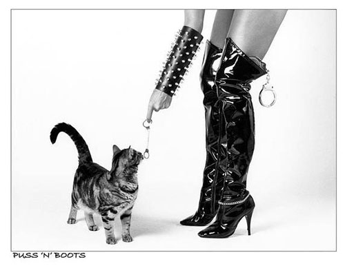 The Cat Who Drank and Used Too Much - Puss in Boots print