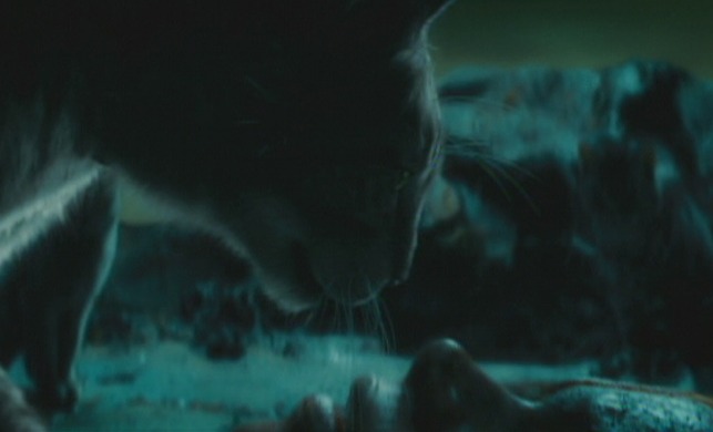 Catwoman - Mau cat brings Catwoman to life