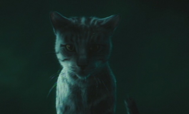 Catwoman - Mau cat Midnight CGI