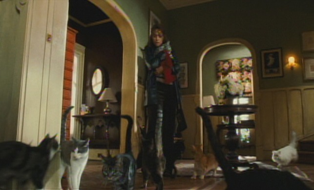 Catwoman - Ophelia's home full of cats