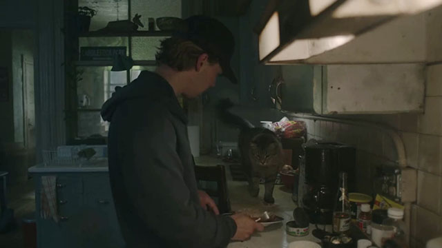 Caught Stealing - Hank Austin Butler with longhair brown tabby cat Bud Tonic on counter