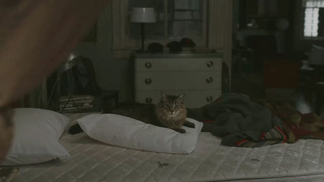 Caught Stealing - longhair brown tabby cat Bud Tonic lying on bed