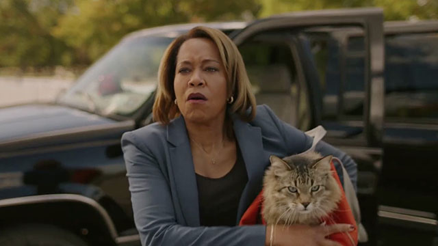 Caught Stealing - longhair brown tabby cat Bud Tonic held in orange bag by Roman Regina King