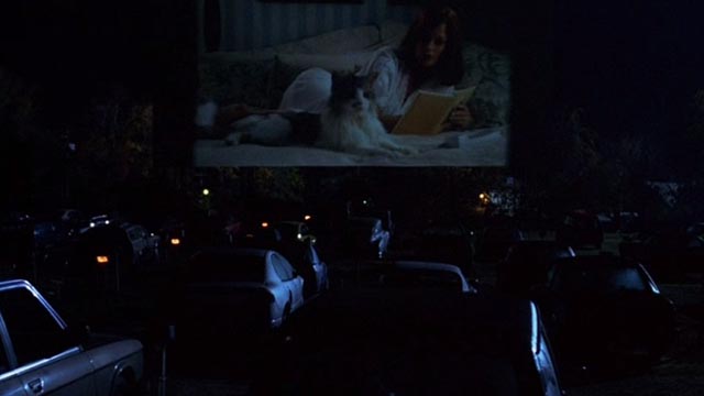 Cecil B. Demented - Maine Coon cat on bed on drive in screen