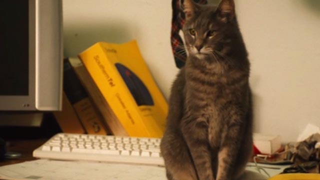The Celestine Prophecy - gray tabby cat Meredith sitting on desk