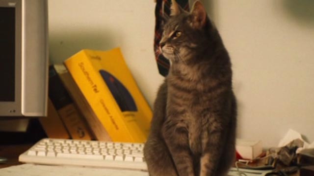 The Celestine Prophecy - gray tabby cat Meredith still sitting on desk